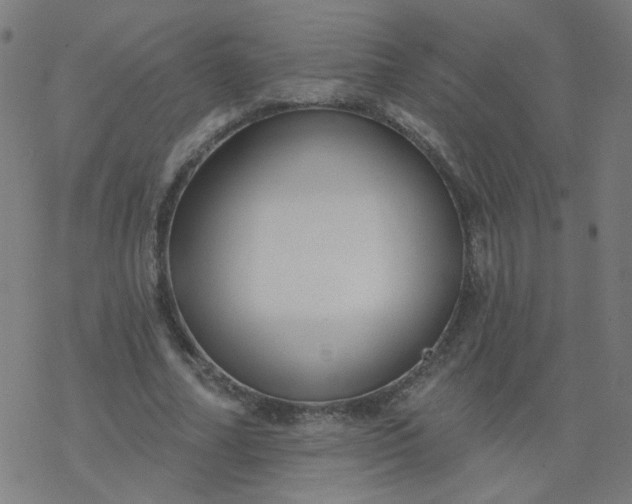 X0000077370682200611031912