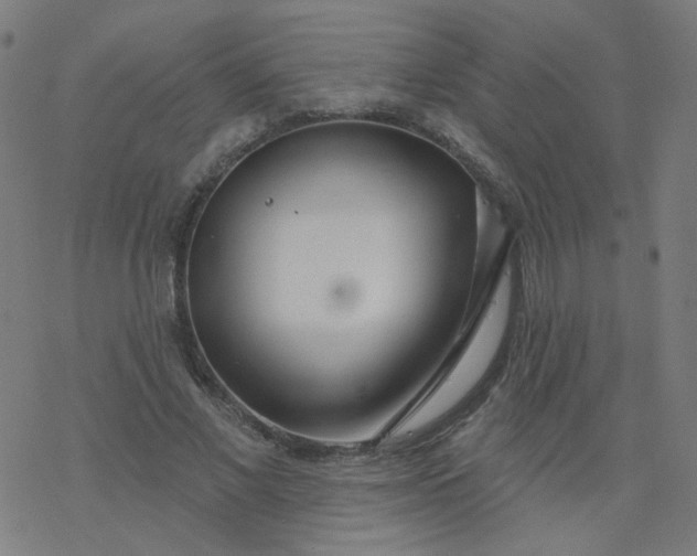 X0000077370685200611031912