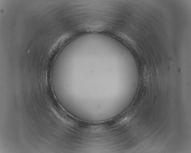 X0000077370686200611031912