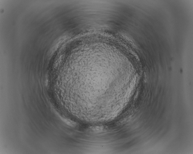 X0000077370687200611031912