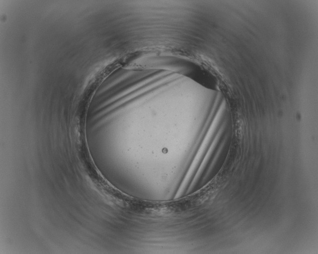 X0000077370688200611031912