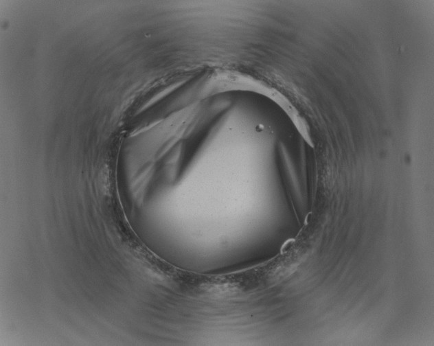 X0000077370689200611031912