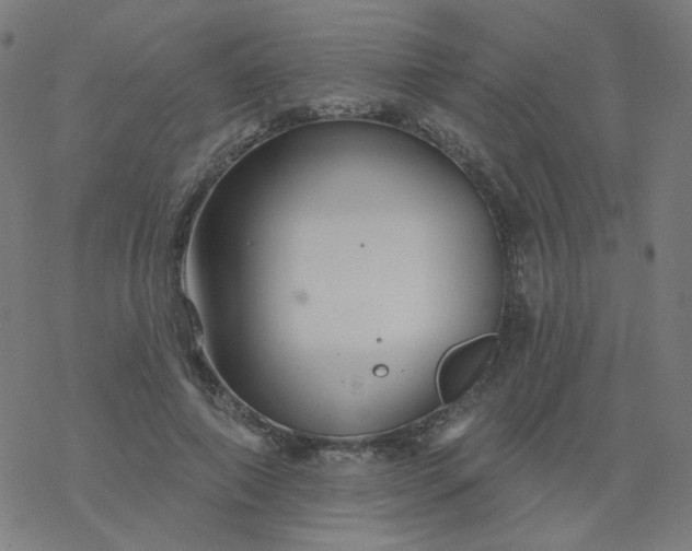 X0000077370690200611031912