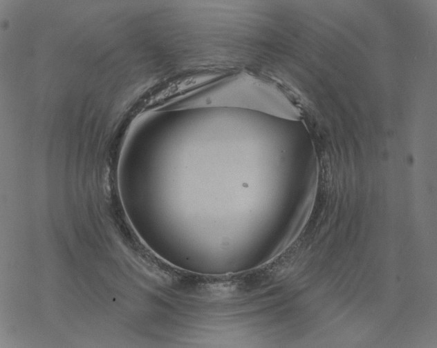 X0000077370692200611031911