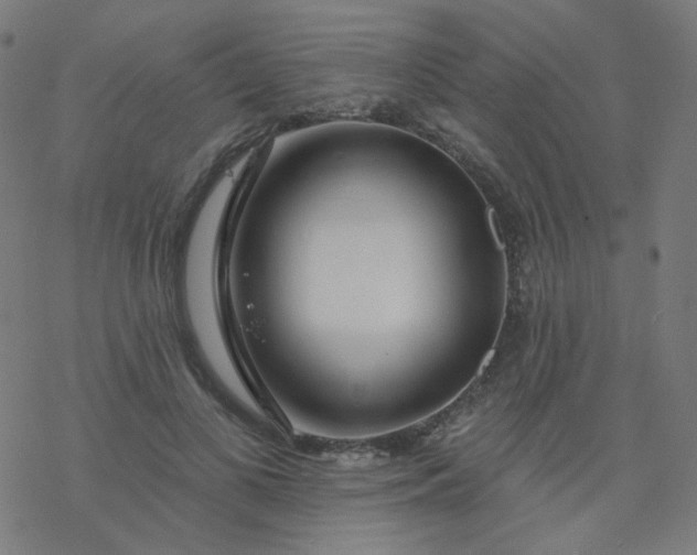 X0000077370693200611031911