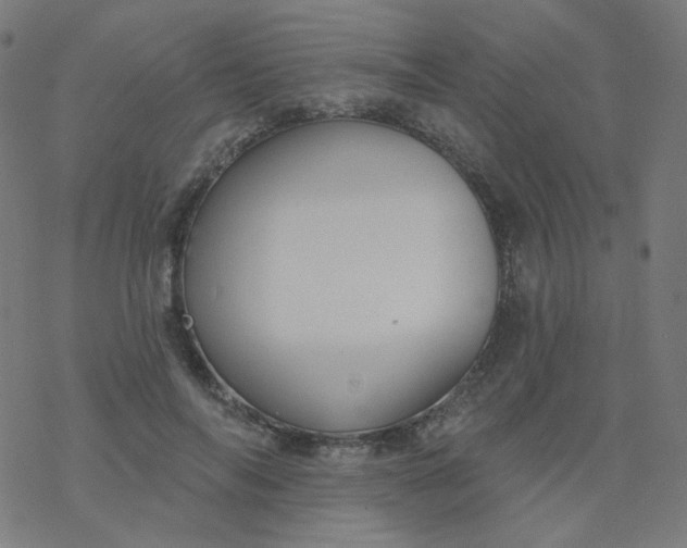 X0000077370694200611031911