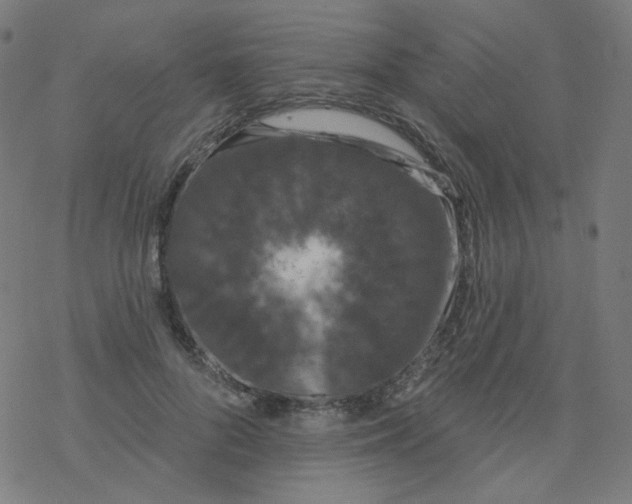 X0000077370696200611031911