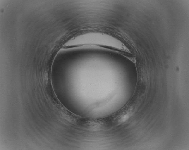 X0000077370697200611031911