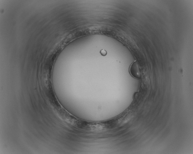 X0000077370698200611031911