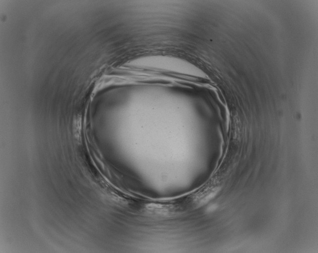 X0000077370699200611031911