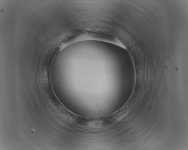 X0000077370700200611031911