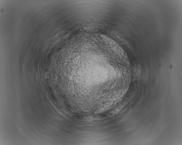 X0000077370703200611031911