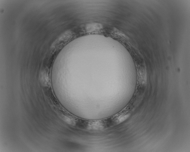 X0000077370705200611031911