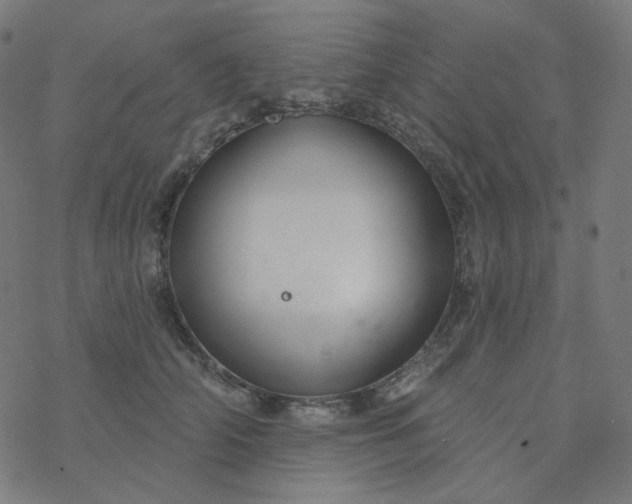 X0000077370706200611031911