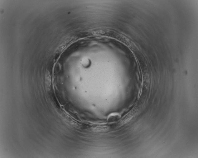 X0000077370707200611031911