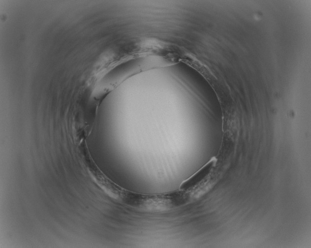 X0000077370708200611031911