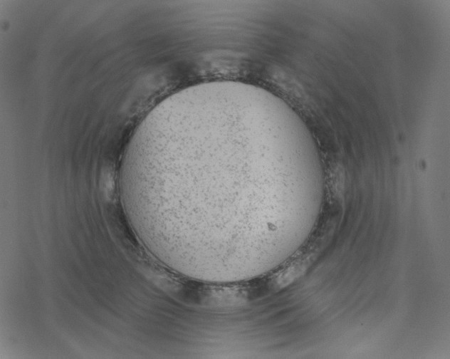 X0000077370709200611031911