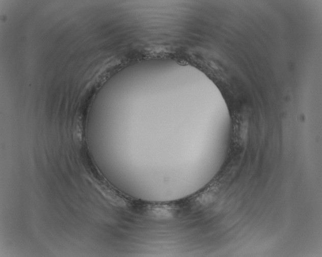 X0000077370710200611031911