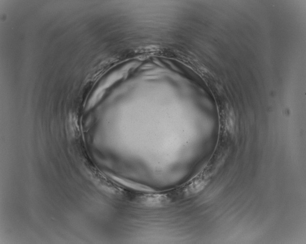 X0000077370711200611031911