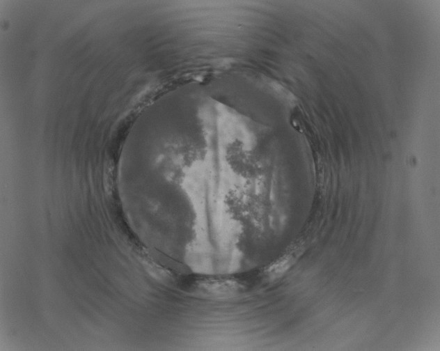 X0000077370712200611031911