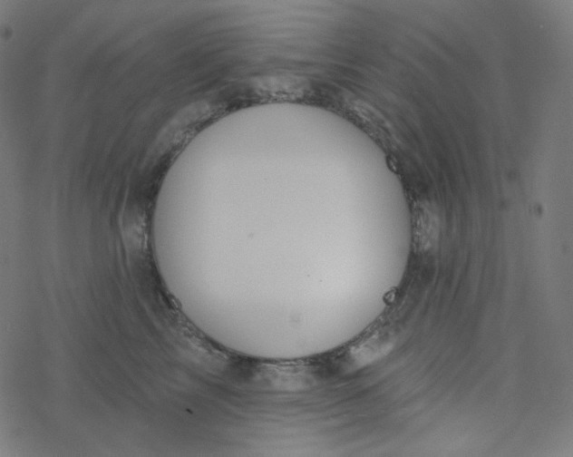 X0000077370713200611031911