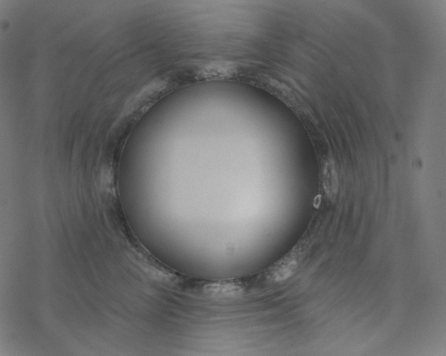 X0000077370714200611031911