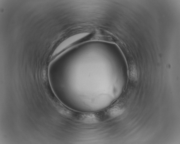 X0000077370715200611031911