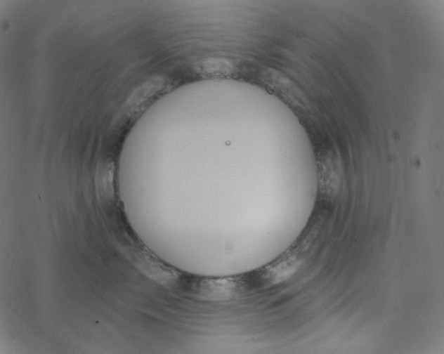 X0000077370717200611031911