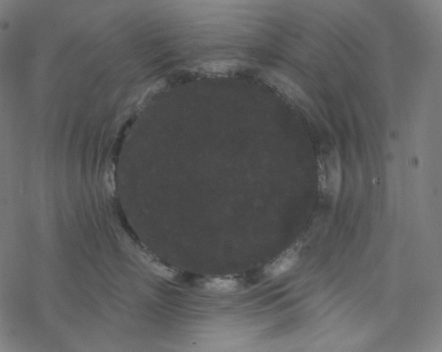 X0000077370718200611031911