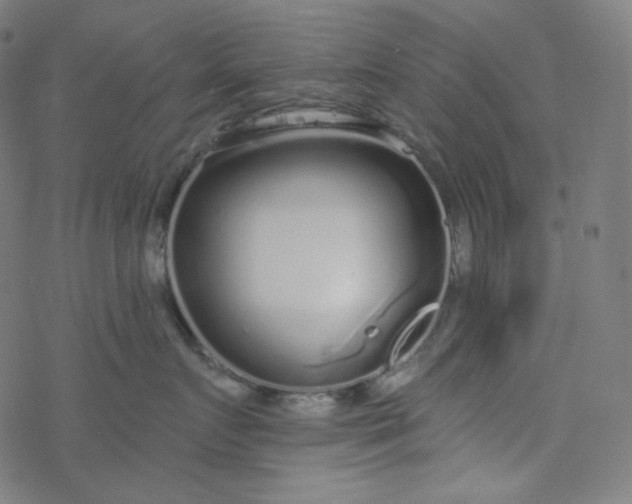 X0000077370719200611031911