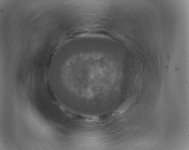 X0000077370720200611031911