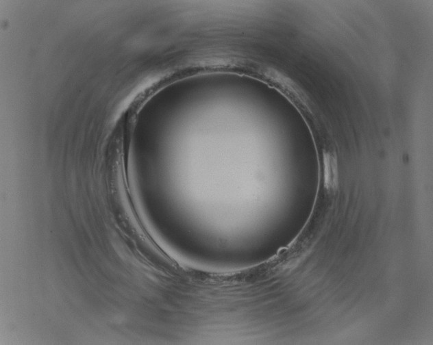 X0000077370723200611031910