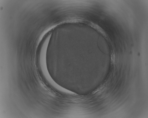 X0000077370724200611031910