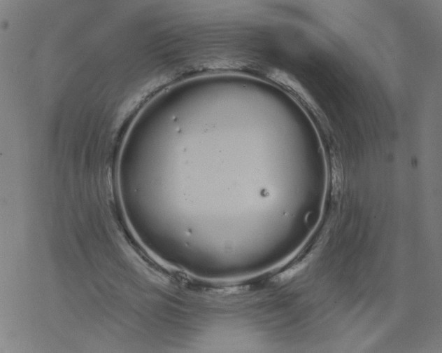 X0000077370725200611031910