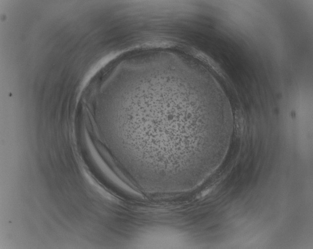 X0000077370726200611031910