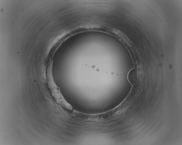 X0000077370727200611031910