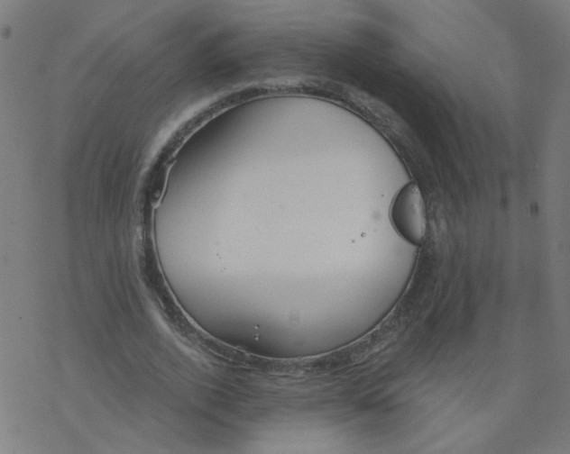 X0000077370728200611031910