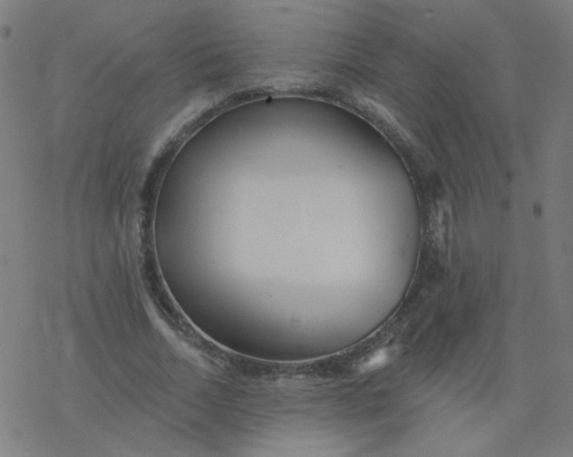 X0000077370730200611031910