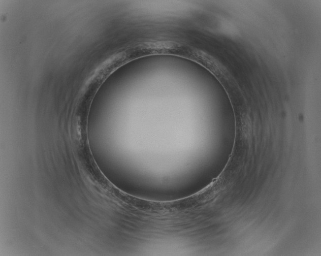 X0000077370731200611031910