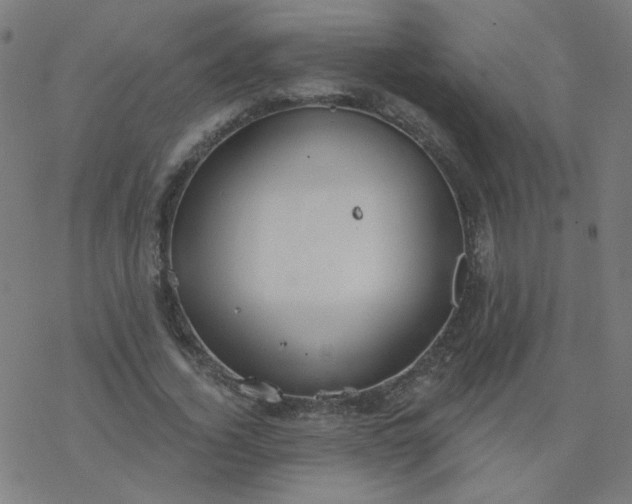 X0000077370732200611031910