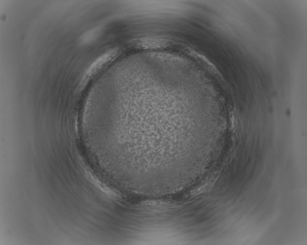 X0000077370733200611031910