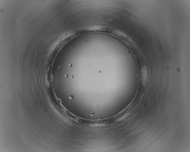 X0000077370734200611031910