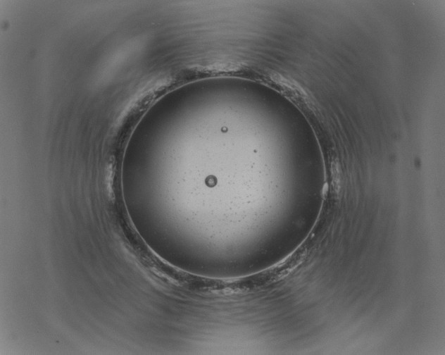 X0000077370735200611031910