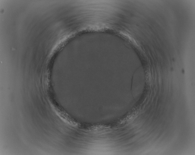 X0000077370736200611031910