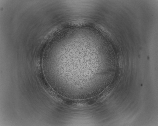 X0000077370737200611031910