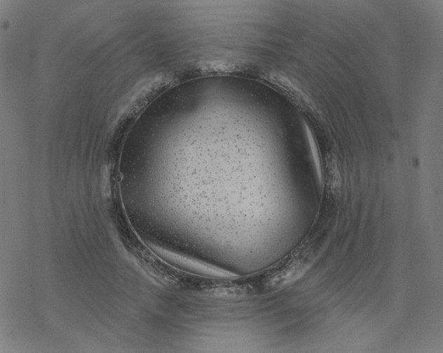 X0000077370738200611031911