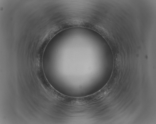 X0000077370739200611031911