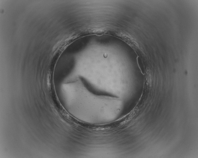 X0000077370740200611031911