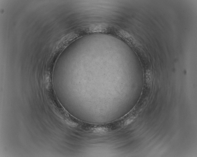 X0000077370741200611031911