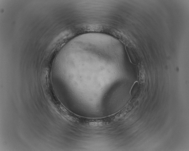 X0000077370744200611031911